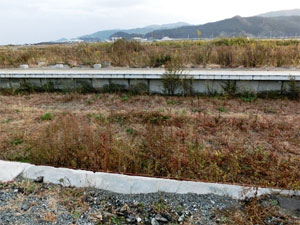 東日本大震災支援活動報告